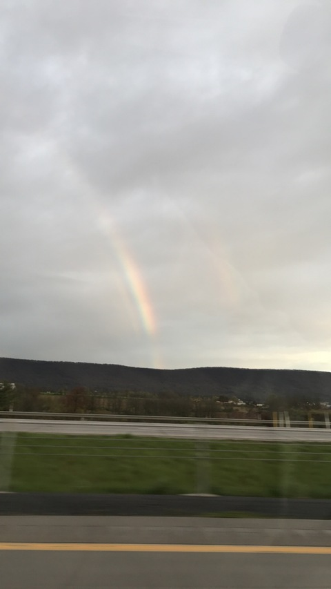 Anna Blake @annablake cover picture