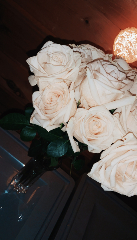 anna fitzs @annafitzs cover picture