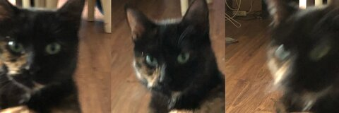 Anna @annalouie cover picture