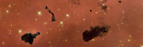 annika 🍊 @annikaly cover picture