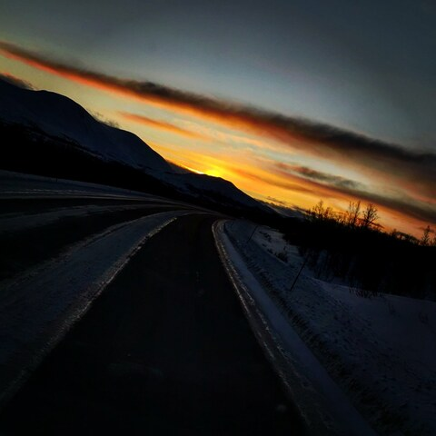 AnonAlpha @anonalphamale cover picture