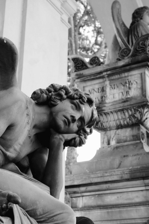 Ansia @ansiasonyeondan cover picture