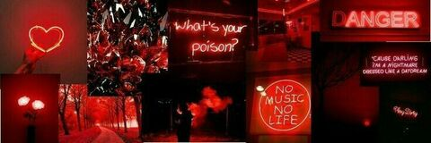 Antonella Ruiz @anto_ruiz cover picture