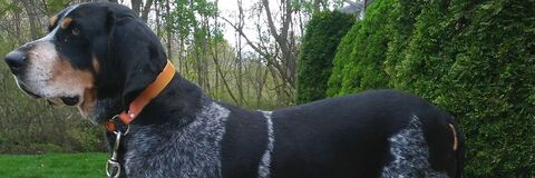 Thomas Zdanowicz @anyonedied cover picture