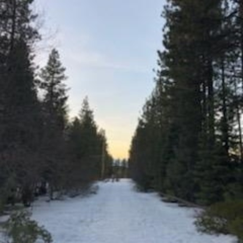 Aquarius @aquarian666 cover picture