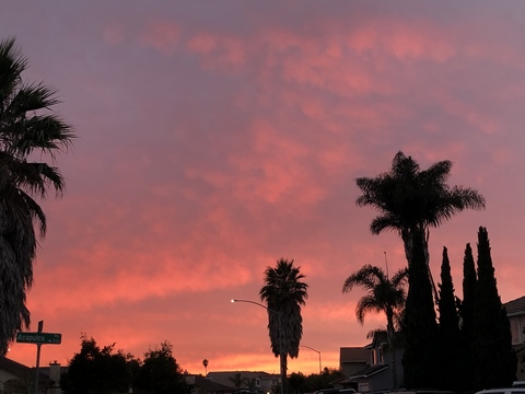 Phat 🍑 @artho3 cover picture