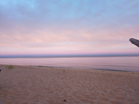 Arvidos @arvidosbaros cover picture