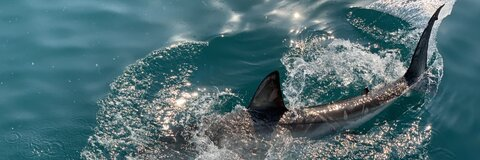 aryn ✨ @arynnoterro cover picture