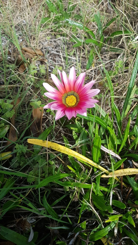 Ashes98 @ashes98 cover picture