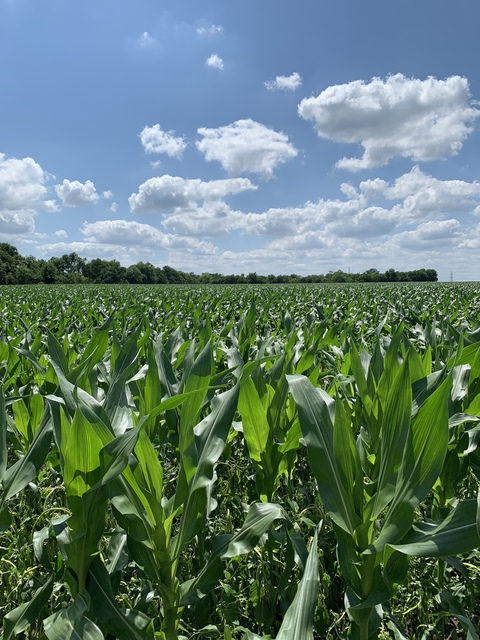 ashton @ashhhy cover picture