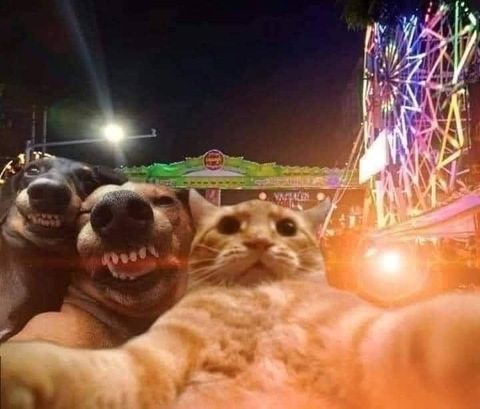 Ashlee @ashleelynn cover picture