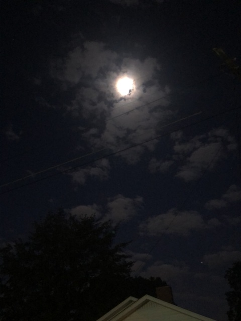 Ashley @ashley_love cover picture