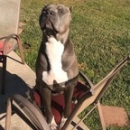 ashleyperezzz Profile Picture