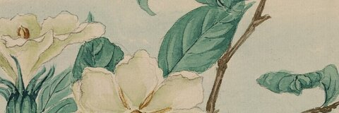 Asia Anastasia ☼☽ @asiaanastasia cover picture