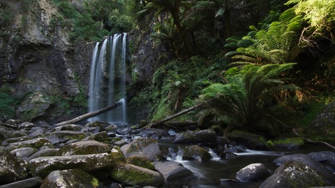 Vanessa Vixen @assthetic cover picture