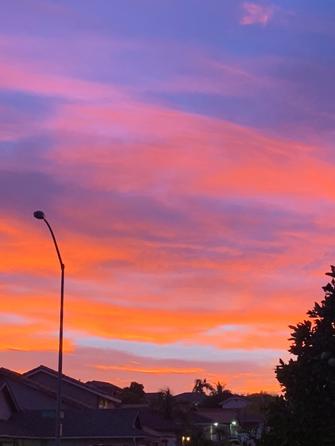 AstroPtero @astroptero cover picture