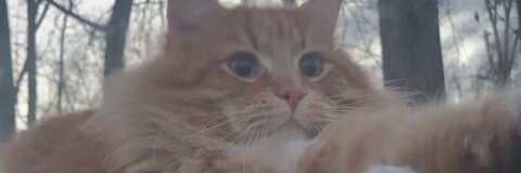 Aubrey Jo 🐝 @aubreyjo316 cover picture