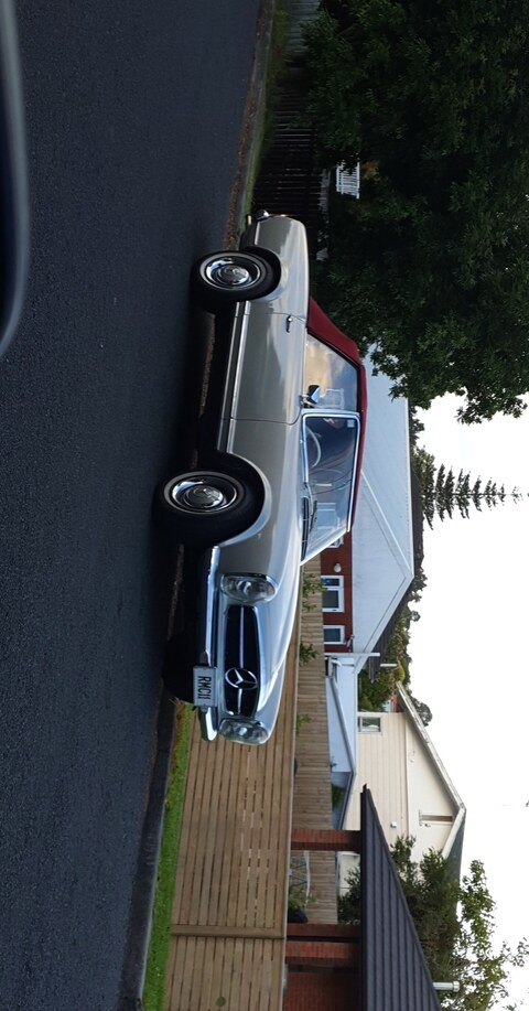 Pet @aucklander cover picture