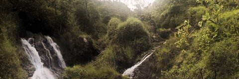 Kat ⚠️ @ausibear cover picture