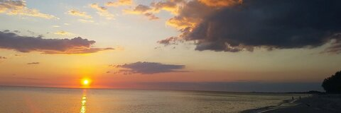 Big Sac @austinsachkar cover picture