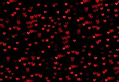 Autumn Stone @autumn-stone cover picture