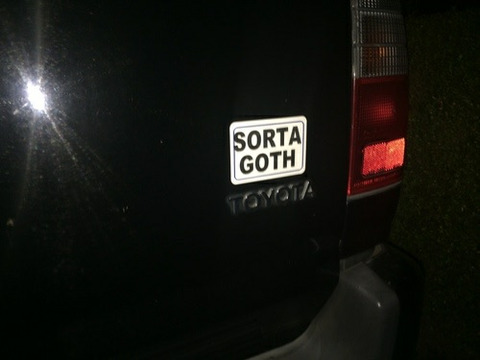 Autumn @autumnpurr cover picture