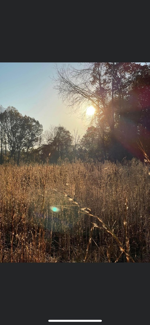 Ava @avaandthebitch cover picture