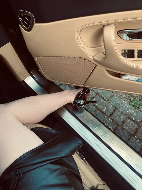 AvaRose @avarosegirl cover picture