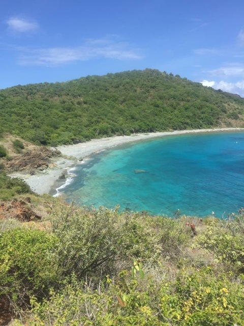 Average Kentucky Boys @avgkyboys cover picture