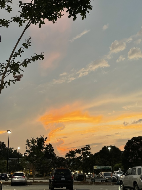 Avocado @avocadosensual cover picture