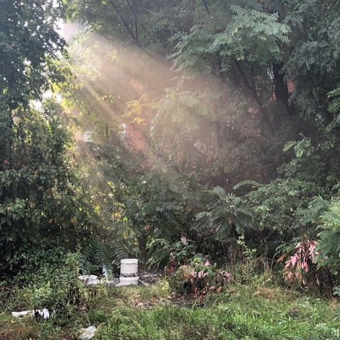 Alistair @ayyjayymcfae cover picture