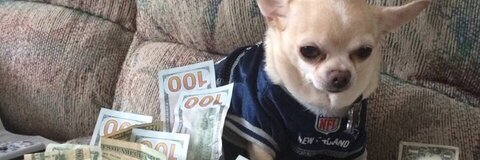 aj @ayyjlmao cover picture