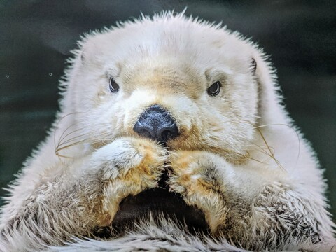 Bombtastic @azn_sinsation cover picture