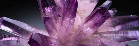 Bₐᵦᵢᵢᵦₑₓₓ®∆ @babiibexx cover picture