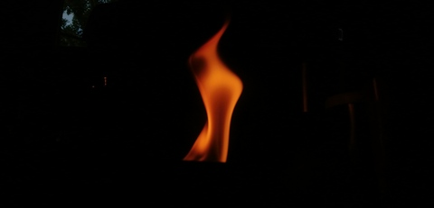 Violett @baby-violett cover picture