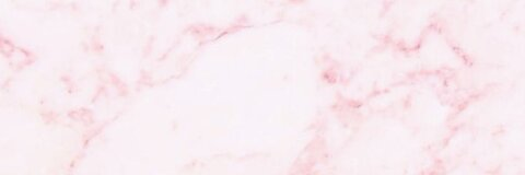 Kitten @baby_kitten9 cover picture