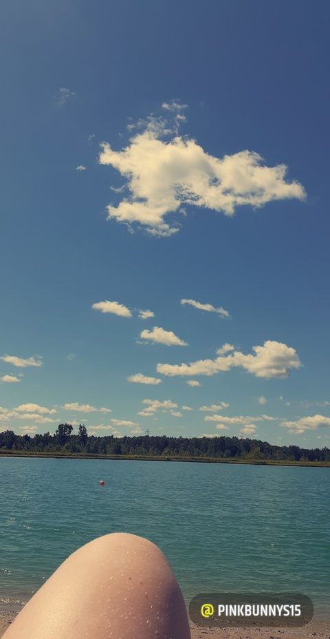 BabyBee🍯 @babybee02 cover picture