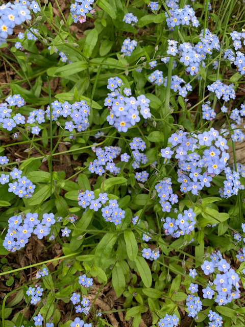 lovely @babybugg cover picture