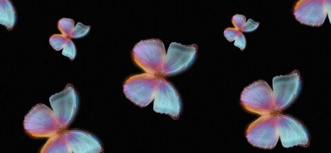 Es @babygirl15599 cover picture