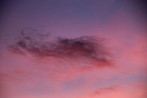 June @babyjune cover picture