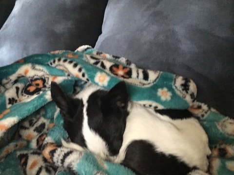 Mackaela Noble @babykady cover picture