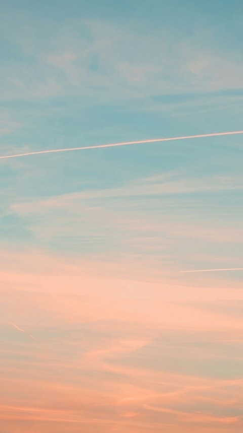 Baby Lucifer @babyluciferof cover picture