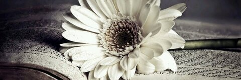 babyracer♥ @babyracer cover picture