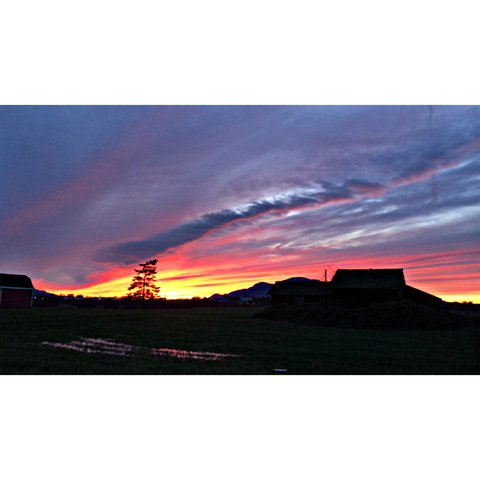 Caitlynn Russell @babyygirrrl cover picture