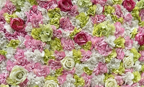 renee @babyyyrayyy315 cover picture