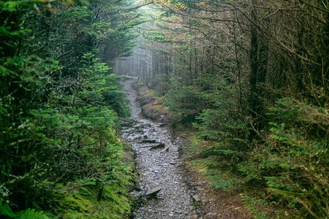 Kevin @backmarker cover picture