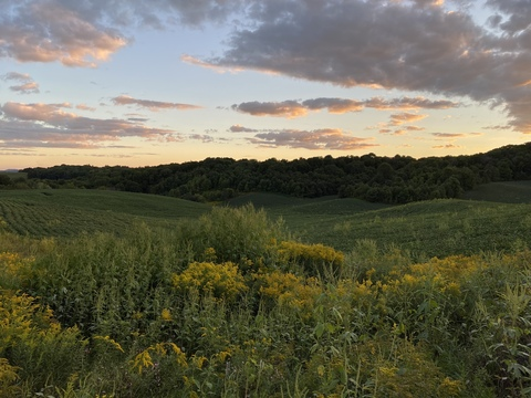 Liam @backseatdrivers cover picture