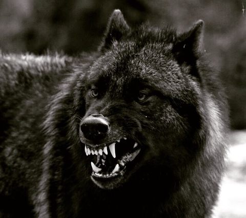 Bad1Boy @bad1boy cover picture