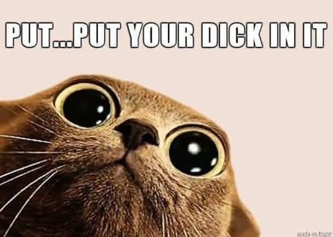 Bad4urhlth81 @bad4urhlth cover picture