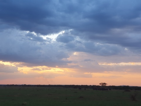 Bedtime Stories @badtimestories cover picture